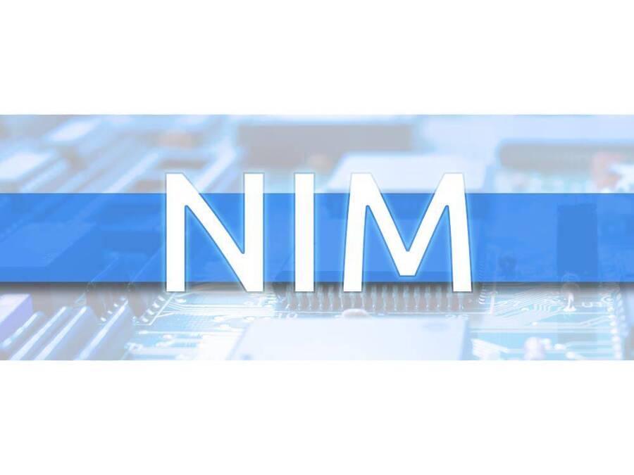 NIM-SSD