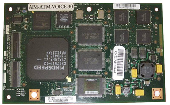 ATM SAR and 30 Channel Voice/Fax AIM